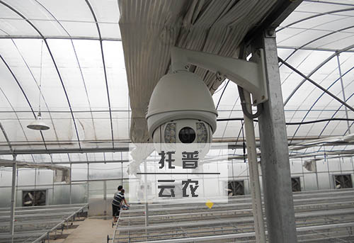 托普儀器助推海通時代農(nóng)場成就“無公害”品牌